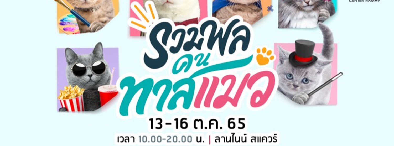 รวมพลคนทาสแมว Zipevent
