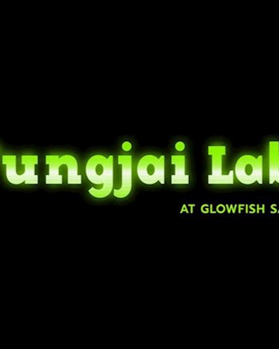 Fungjai Lab² x ข้าวหอม Zipevent