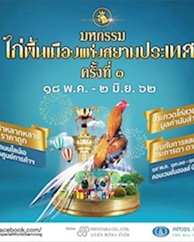 มหกรรมไก่พื้นเมืองแห่งสยามประเทศ ครั้งที่ 1 Zipevent