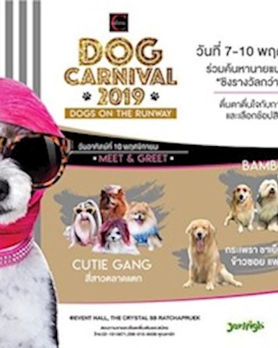 Dog Carnival 2019 ตอน Dogs on the runway Zipevent