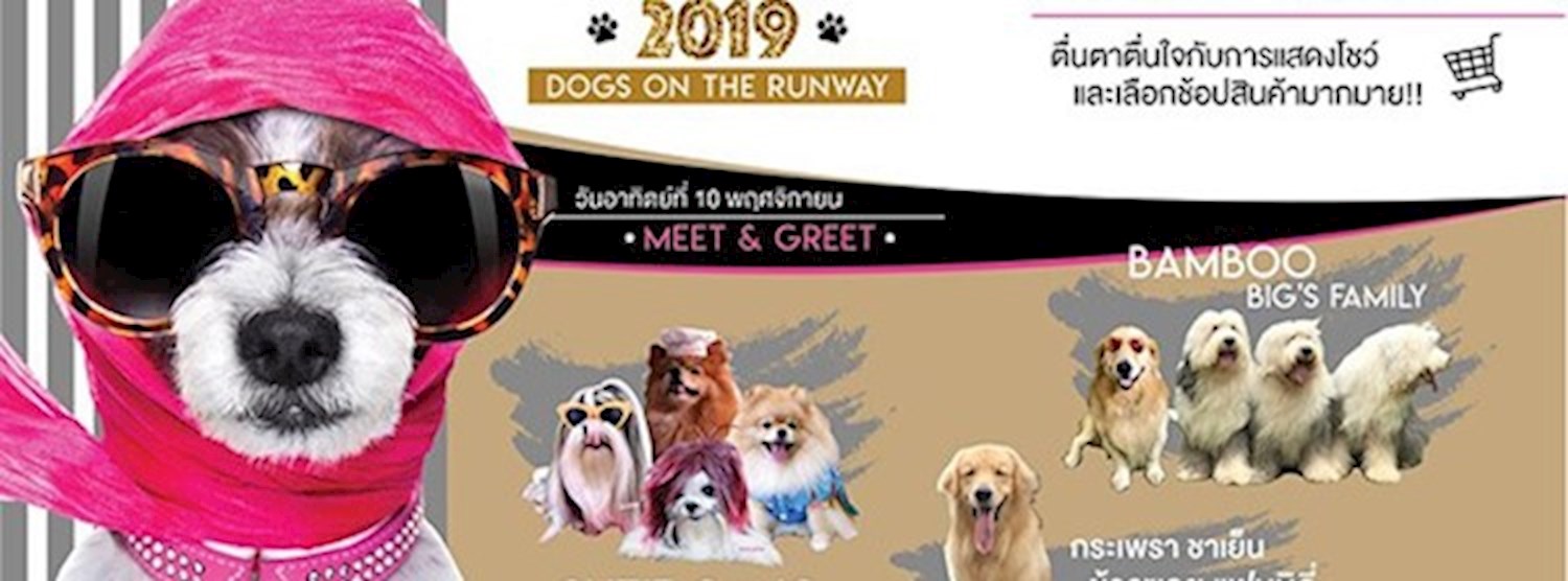 Dog Carnival 2019 ตอน Dogs on the runway Zipevent