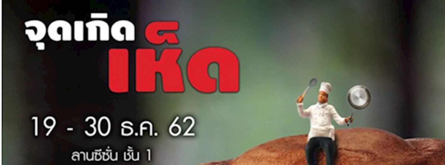 จุดเกิดเห็ด Zipevent