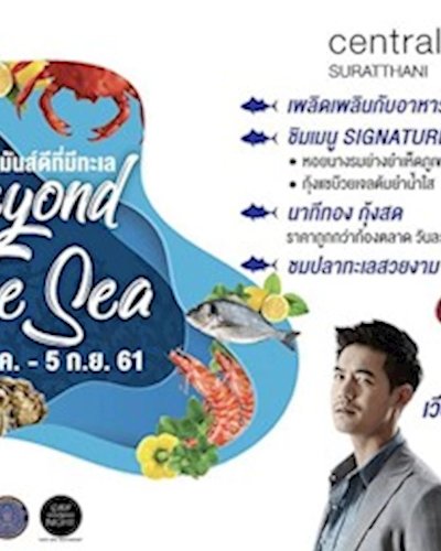 Beyond The Sea มันส์ดีที่มีทะเล Zipevent