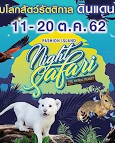 เพื่อนรัก สัตว์เลี้ยง "Night Safari" Zipevent