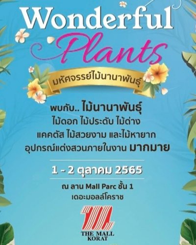 THE MALL KORAT WONDERFUL PLANTS Zipevent