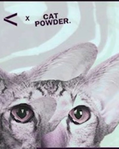 BEAM x Cat Powder Zipevent