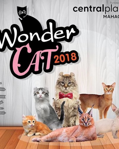 Wonder Cat 2018 Zipevent