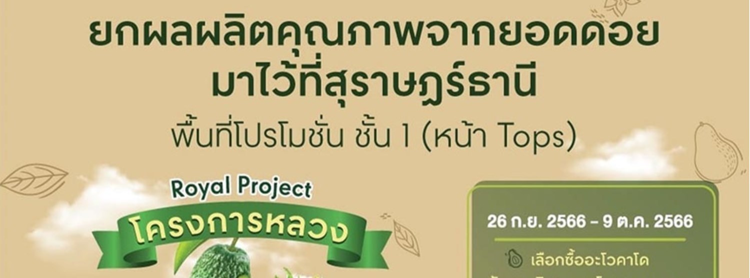 โครงการหลวง Zipevent