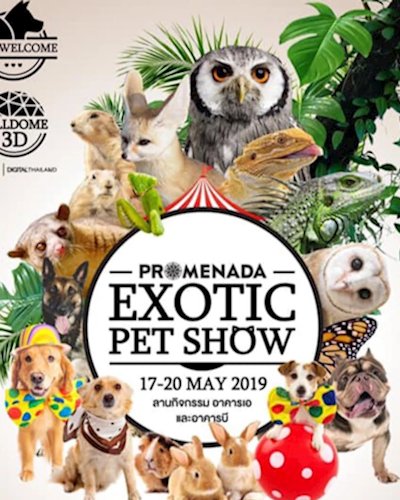 Promenada Exotic Pet Show Zipevent
