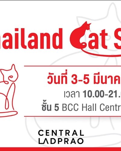 Thailand Cat Show 2023 Zipevent