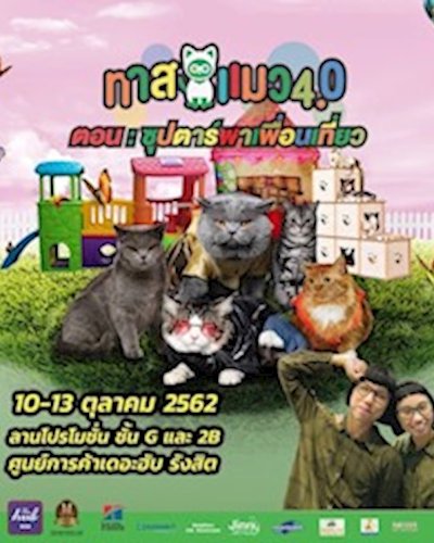 ทาสแมว 4.0 Zipevent