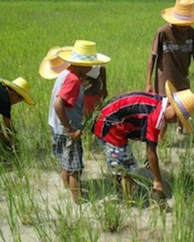 ดำ นา กัน : Let's go to the field Zipevent