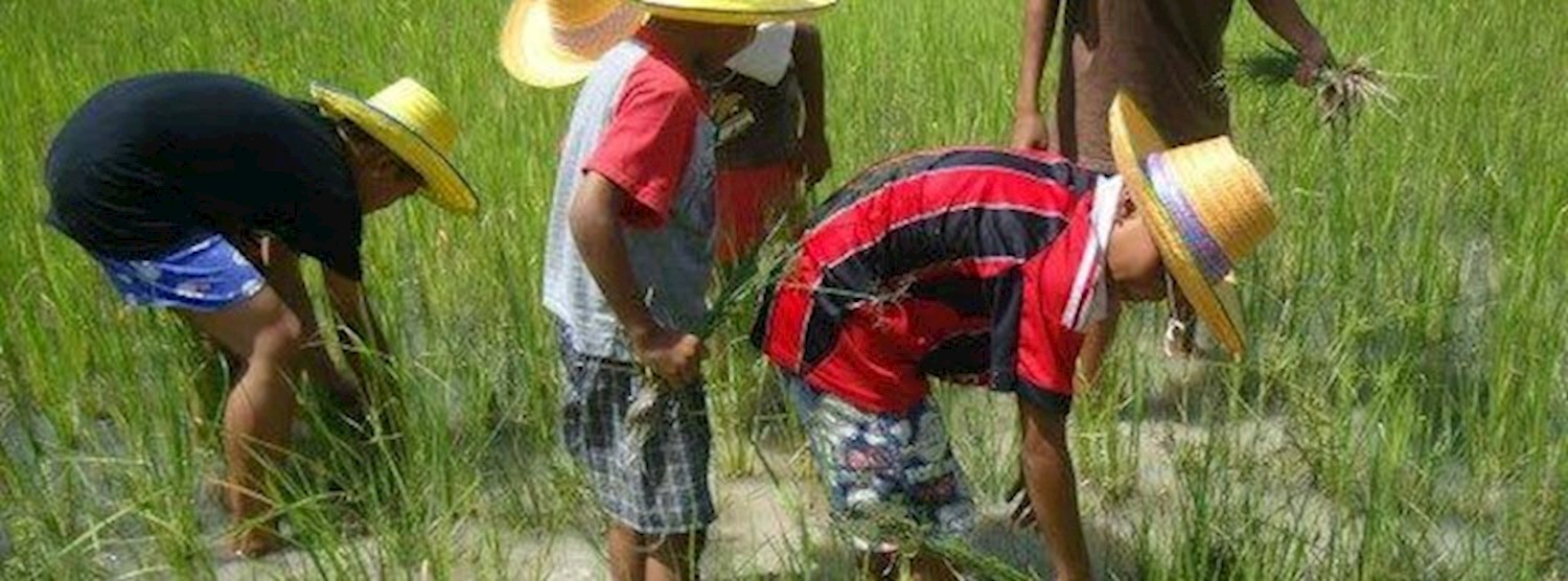 ดำ นา กัน : Let's go to the field Zipevent