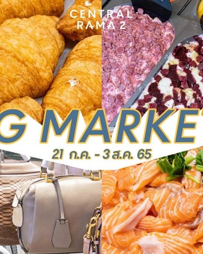 IG MARKET Zipevent