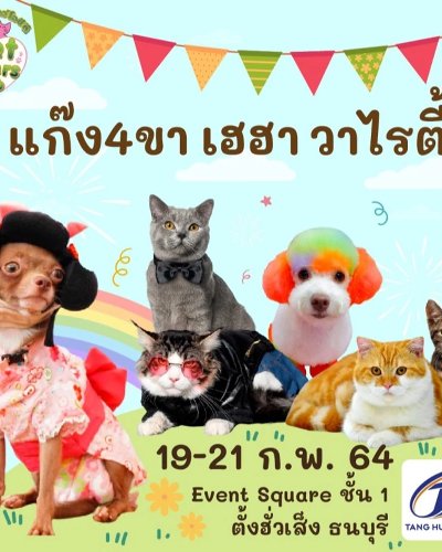 แก๊ง 4 ขา เฮฮา วาไรตี้ Zipevent