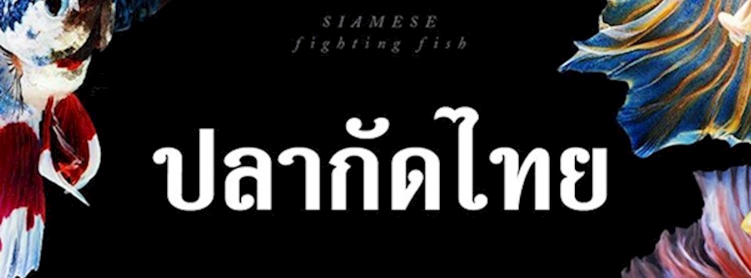 ปลากัดไทย Zipevent