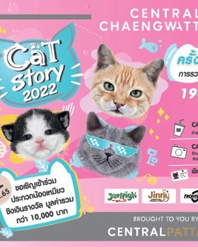 CAT Story 2022 Zipevent