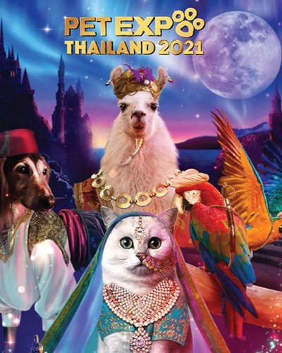 (เลื่อนการจัดงาน) Pet Expo Thailand 2021 Zipevent
