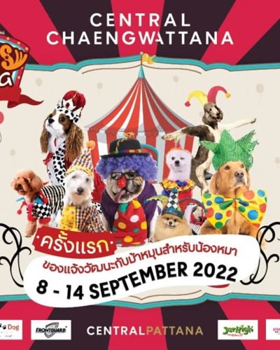 The Circus Dog 2022 Zipevent