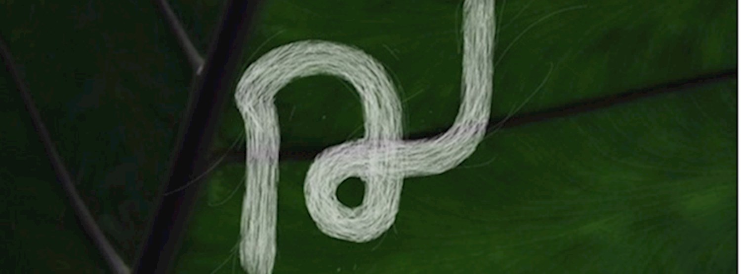 ฌ เฌอ ฟาร์มแอนด์โฟล์ค มาร์เก็ต Zipevent