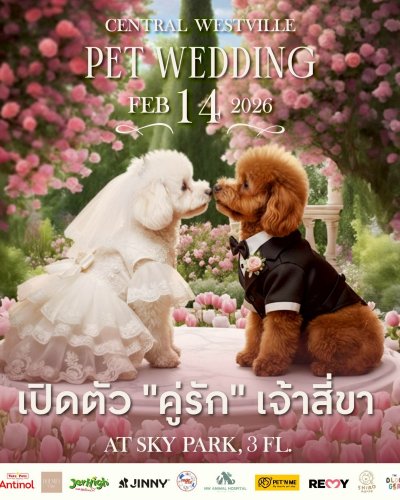 Pet Wedding Zipevent