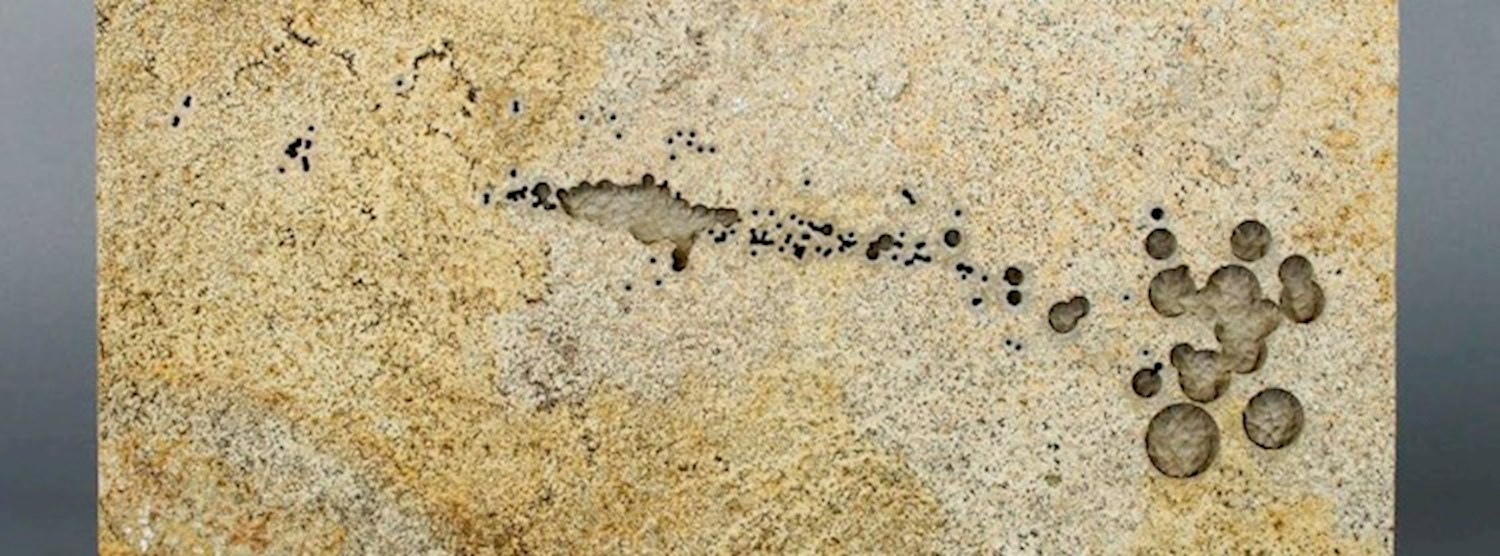 Creating Art with Data Zipevent