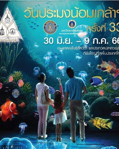 งานวันประมงน้อมเกล้าฯ ครั้งที่ 33 Zipevent