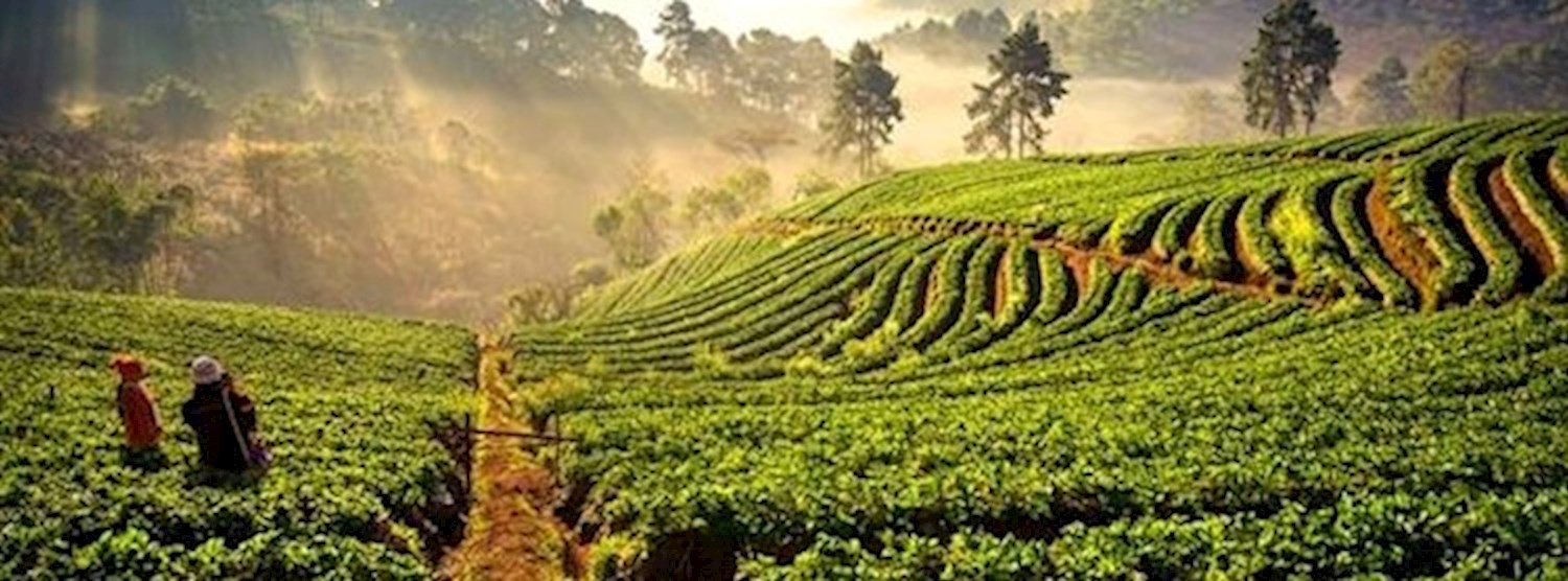 Luncheon Talk: Redefining the Good Food Zipevent