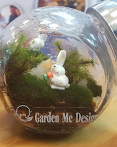 Garden In the bottle Zipevent