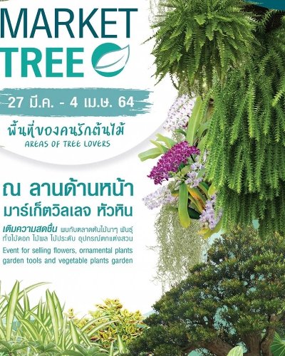 TREE MARKET ตลาดของคนรักต้นไม้ Zipevent