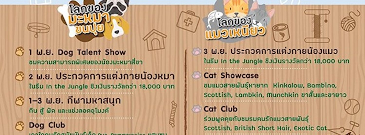 Pet Story 2019 ตอน "Pet in the Jungle" Zipevent