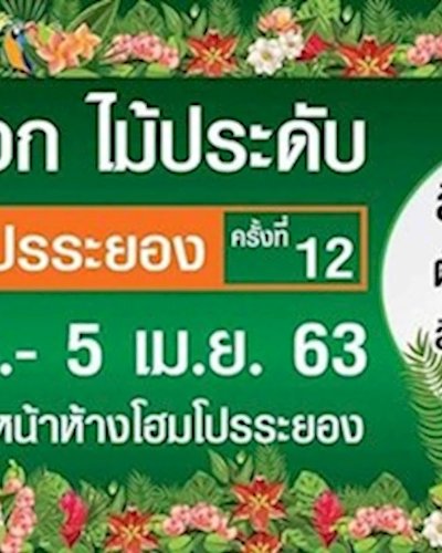 (ยกเลิก/Canceled) งานไม้ดอก ไม้ประดับ โฮมโปรระยอง ครั้งที่ 12 Zipevent