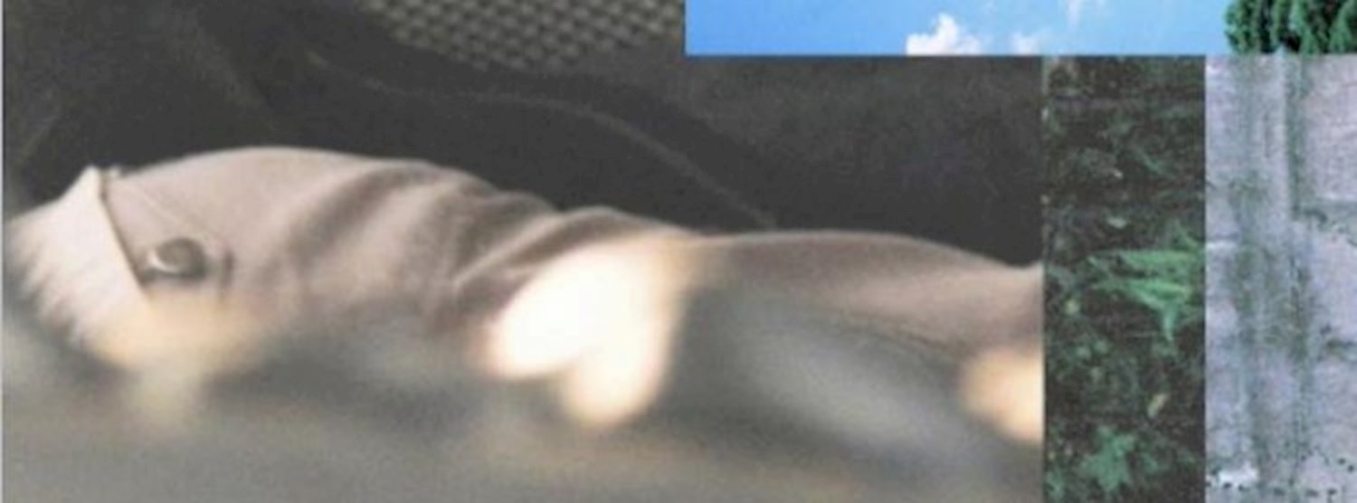 Closing of Three-Cornered World + Artist Talk by Pam Virada Zipevent