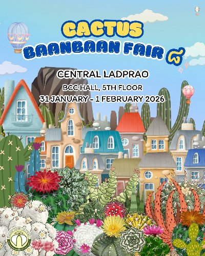 Cactus BaanBaan Fair 8 Zipevent