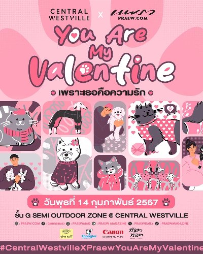 You are my valentine @Central Westville Zipevent