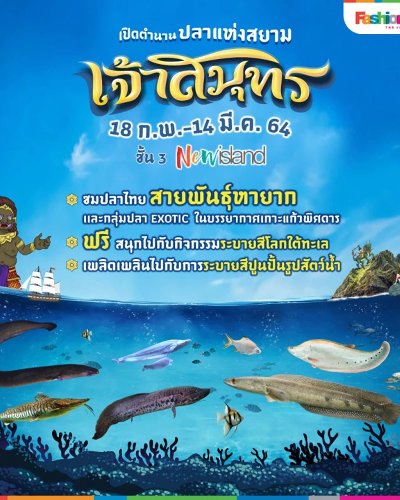 เจ้าสมุทร Zipevent