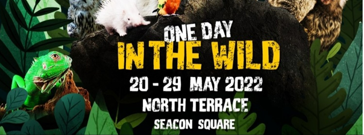 One Day In The Wild Zipevent