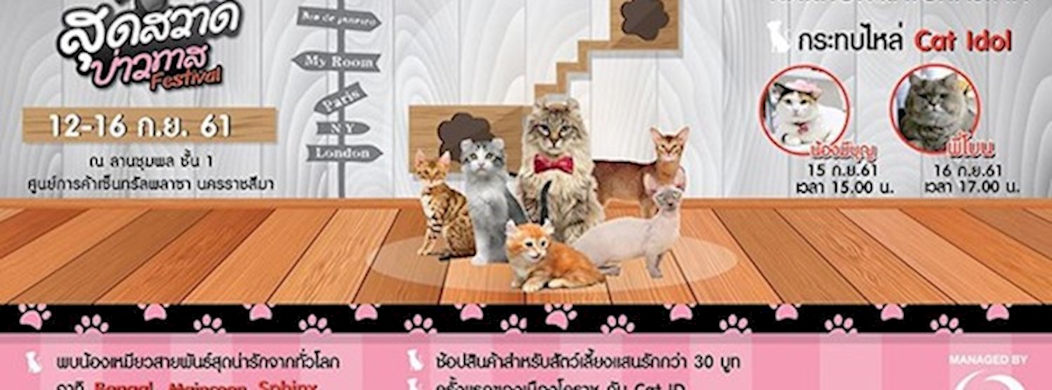 สุดสวาดบ่าวทาส Festival Zipevent