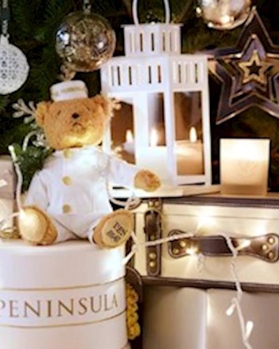 Teddy Bear Picnic Zipevent