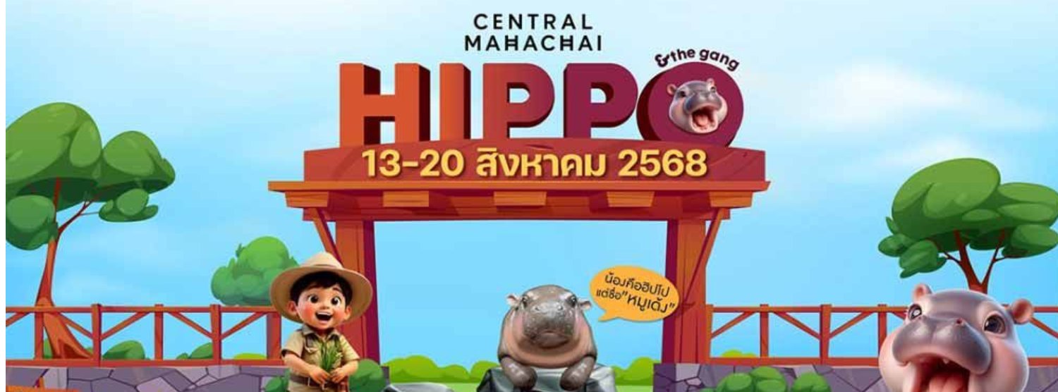 Hippo & The gang Zipevent