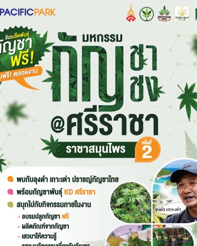 มหกรรมกัญชา กัญชง ศรีราชา ราชาสมุนไพร ครั้งที่ 2 Zipevent