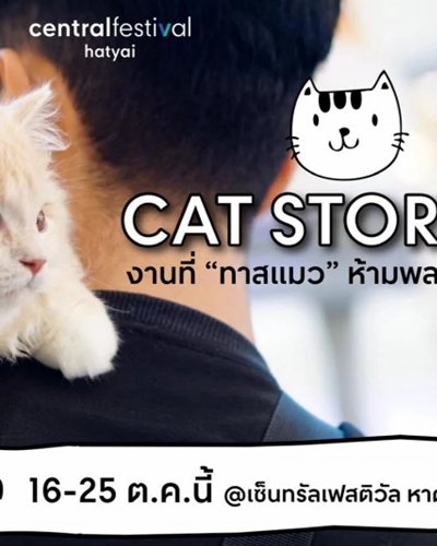 CAT STORY Zipevent