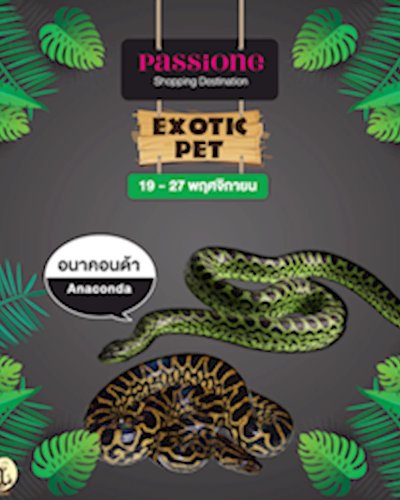 Exotic Pet Zipevent