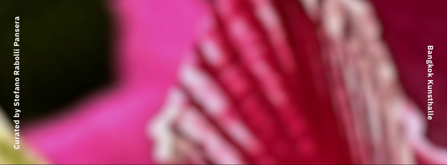 Nine Plus Five Works Zipevent