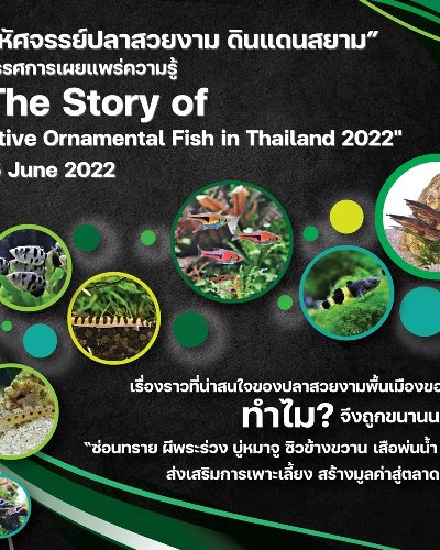The Story of Native Ornamental Fish 2022 Zipevent