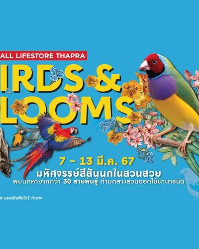 THE MALL LIFESTORE THAPRA BIRDS & BLOOMS มหัศจรรย์สีสันนกในสวนสวย Zipevent