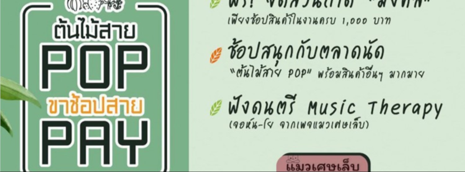 ต้นไม้สาย POP ขาช้อปสาย PAY Zipevent