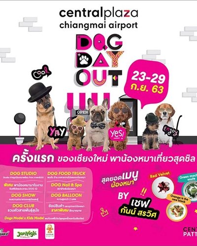 Dog Day Out Zipevent