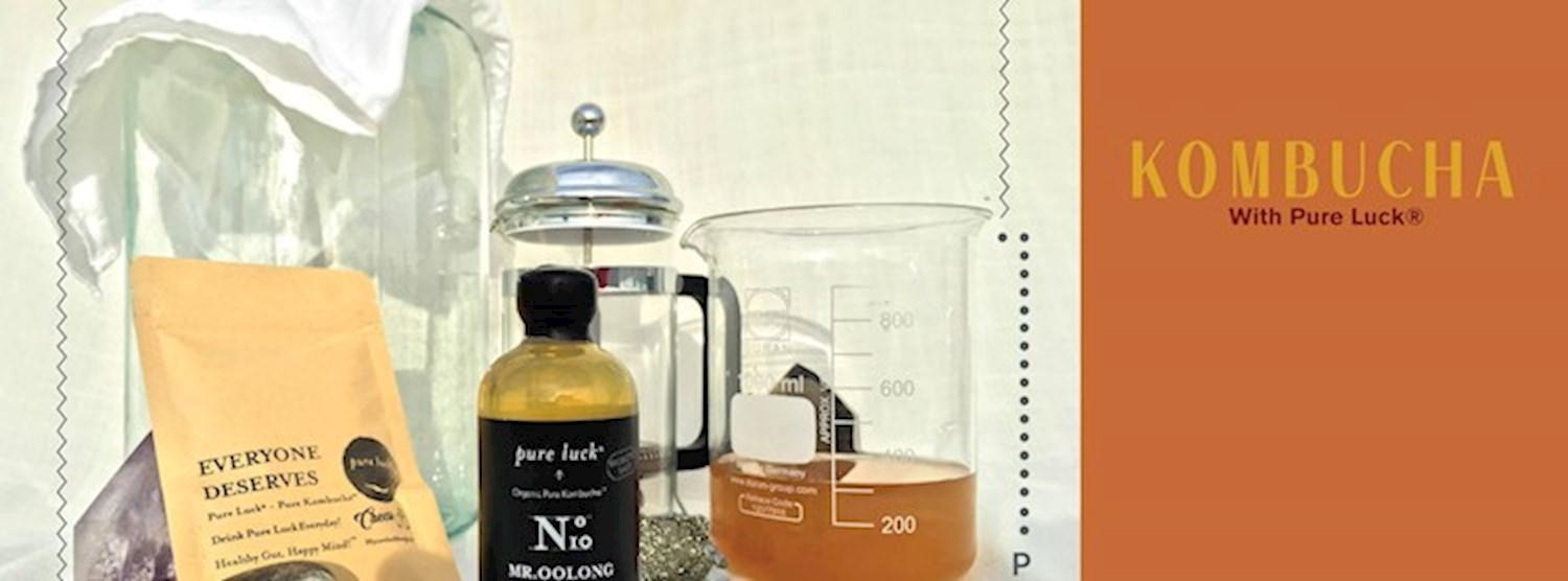 Kombucha Brewing Workshop Zipevent