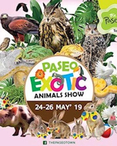 Exotic Animals Show Zipevent